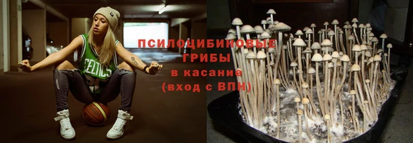 соль курить ск Алзамай