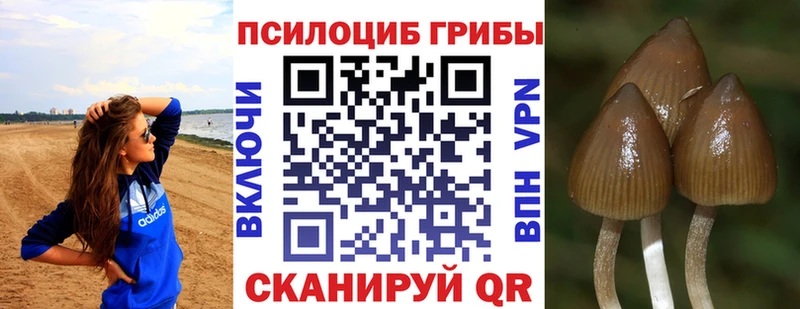 мега ТОР  Каменск-Шахтинский  Псилоцибиновые грибы MAGIC MUSHROOMS 