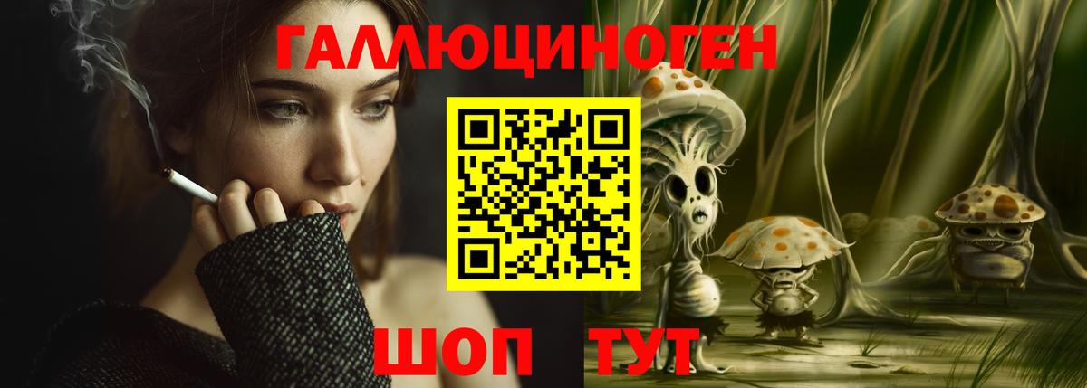 Каменск-Шахтинский  Псилоцибиновые грибы Psilocybe  купить наркотики цена  Вход с VPN 